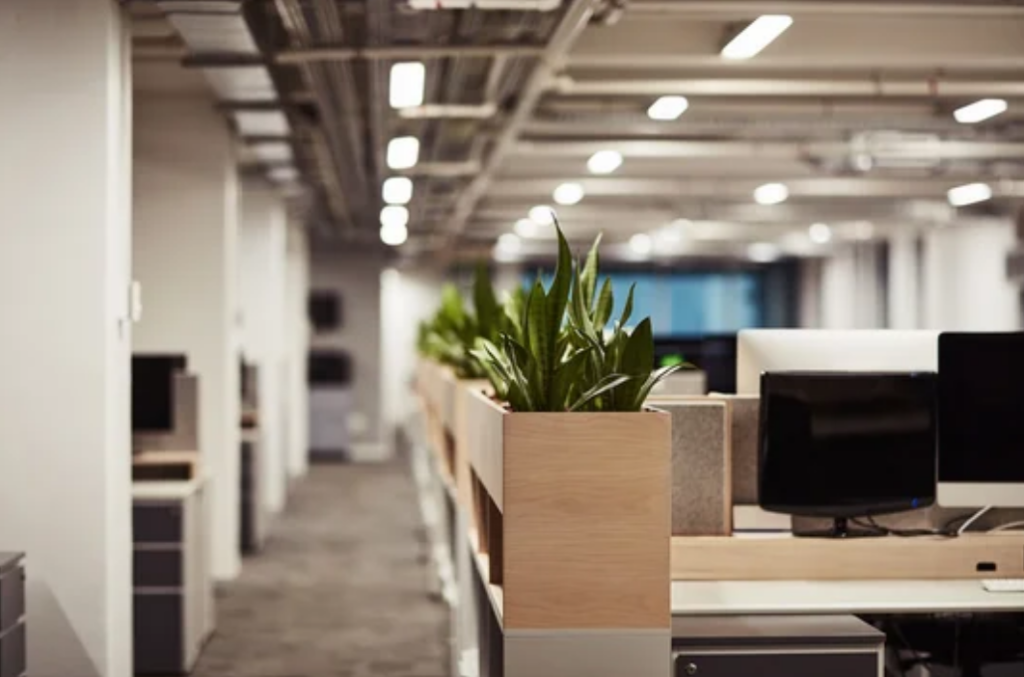 Singapor Co Working Space 3